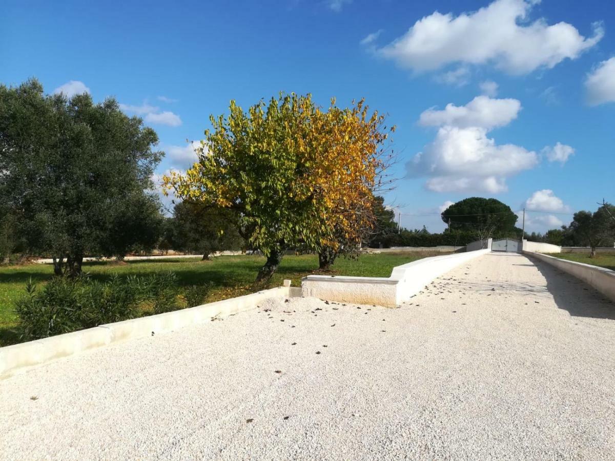 Villa Degli Ulivi سيغلي ميسابيكا المظهر الخارجي الصورة