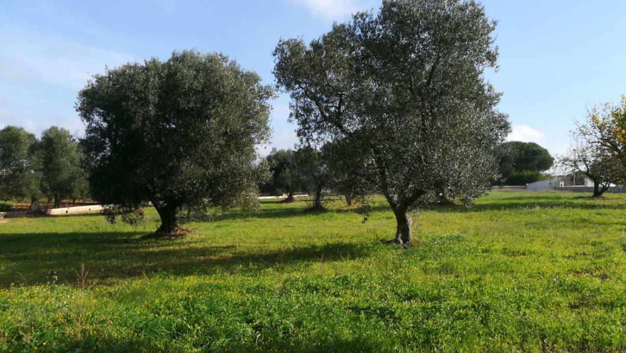 Villa Degli Ulivi سيغلي ميسابيكا المظهر الخارجي الصورة